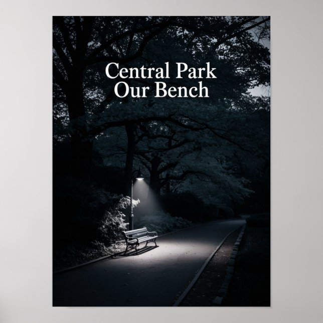 Central Park Vår Bänk Nattfotografering Poster (Framsidan)