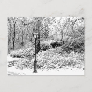 Central Park vintersnö landskap fotoet Vykort
