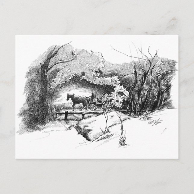 Central Park vykort (Framsida)