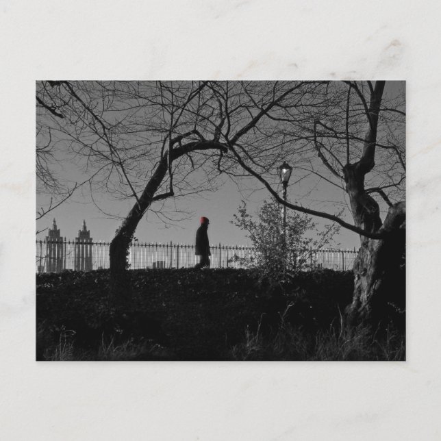 Central Park Walker Vykort (Framsida)