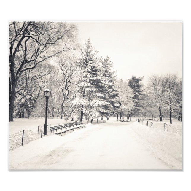 Central Park Winter Väg - New York City Fototryck (Framsidan)