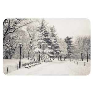 Central Park Winter Väg - New York City Magnet