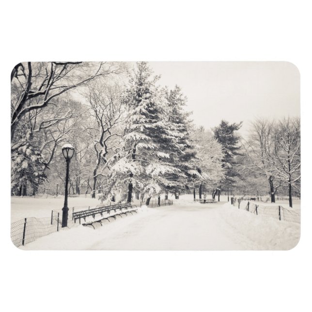 Central Park Winter Väg - New York City Magnet (Horisontell)