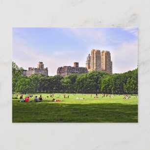 Central Park's Sheep Meadow Vykort