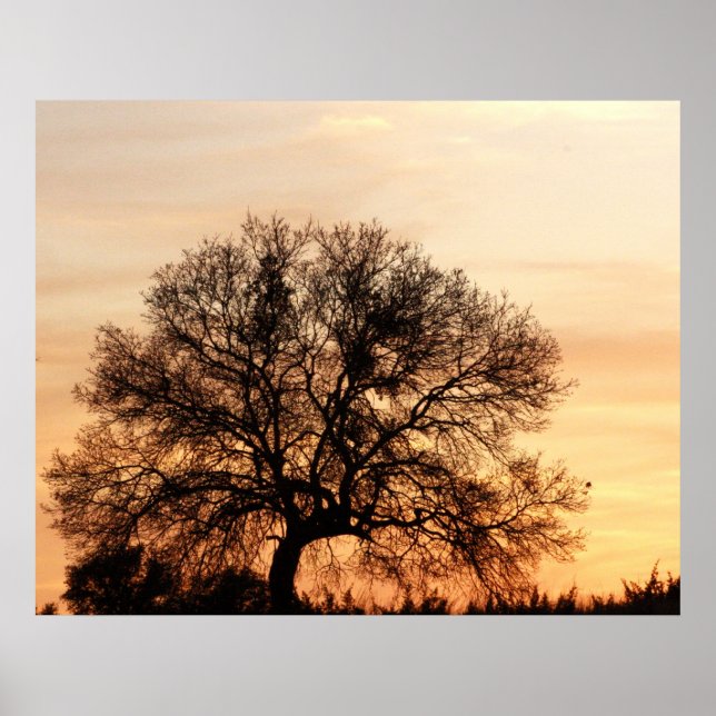 Central Texas Sunset Poster (Framsidan)