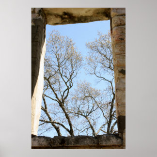 Central Texas View Poster