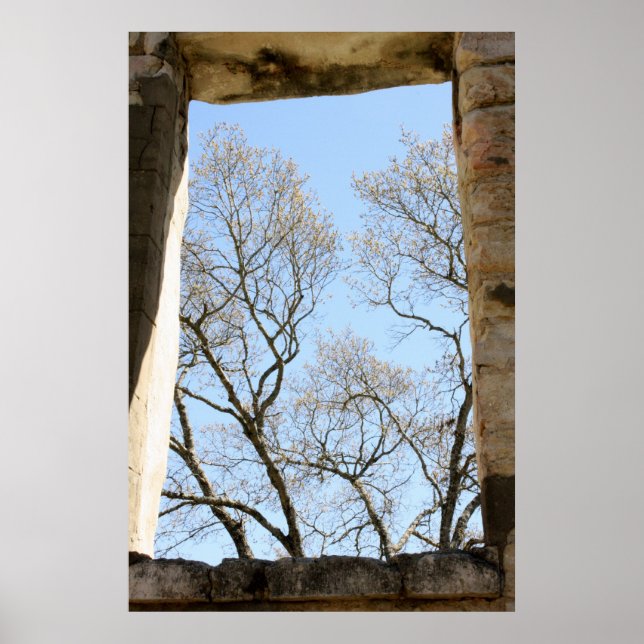 Central Texas View Poster (Framsidan)