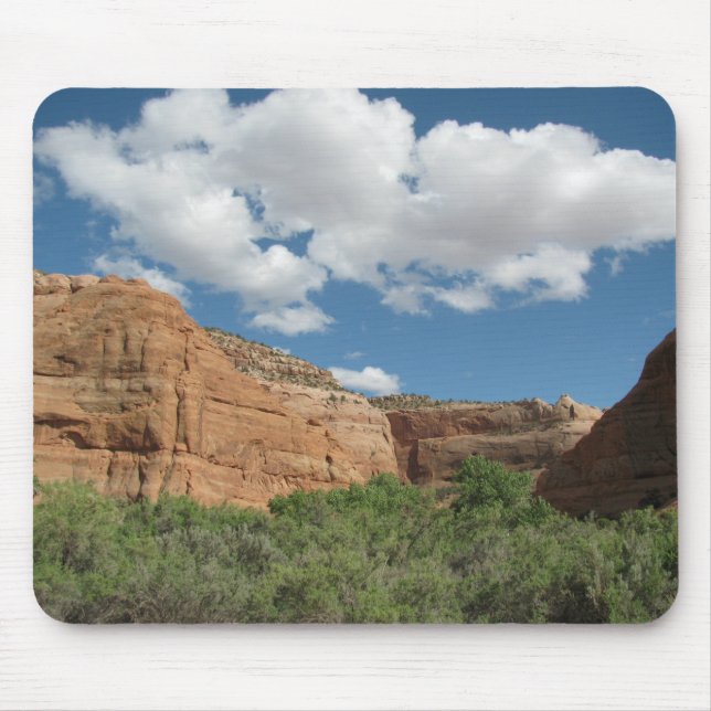 Central Utah Scenery Musmatta (Framsidan)
