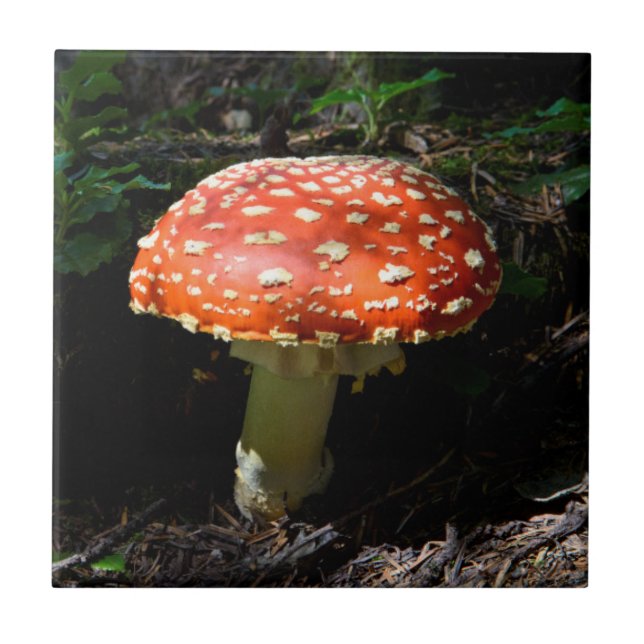 Centrala Cascades, Washington State Kakelplatta (Framsidan)