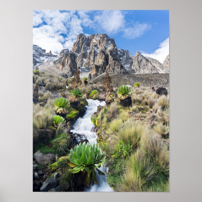 Centrala Mount Kenya nationalpark Poster (Framsidan)