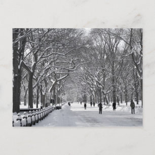 Centrala parken Mall B&W Vykort