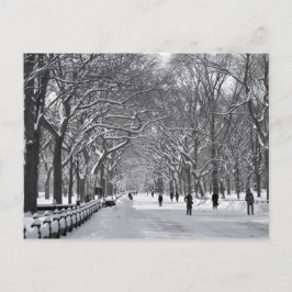 Centrala parken Mall B&W Vykort