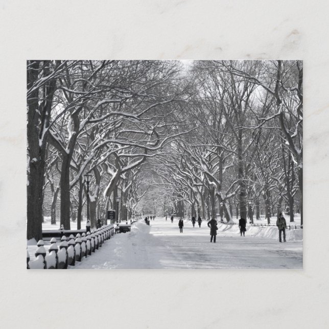 Centrala parken Mall B&W Vykort (Framsida)