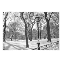 Centrala parken Snowfall B&W