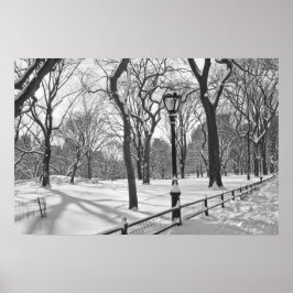 Centrala parken Snowfall B&W Poster