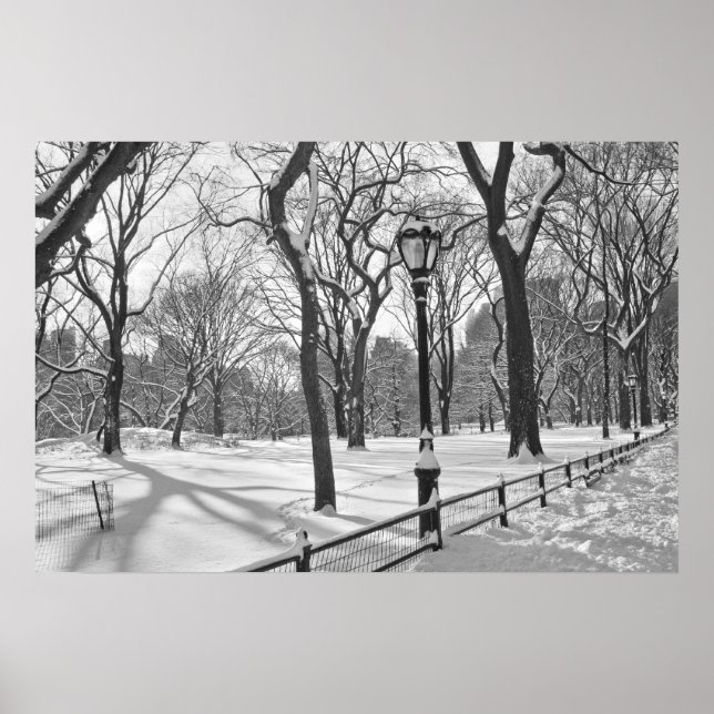 Centrala parken Snowfall B&W Poster (Framsidan)