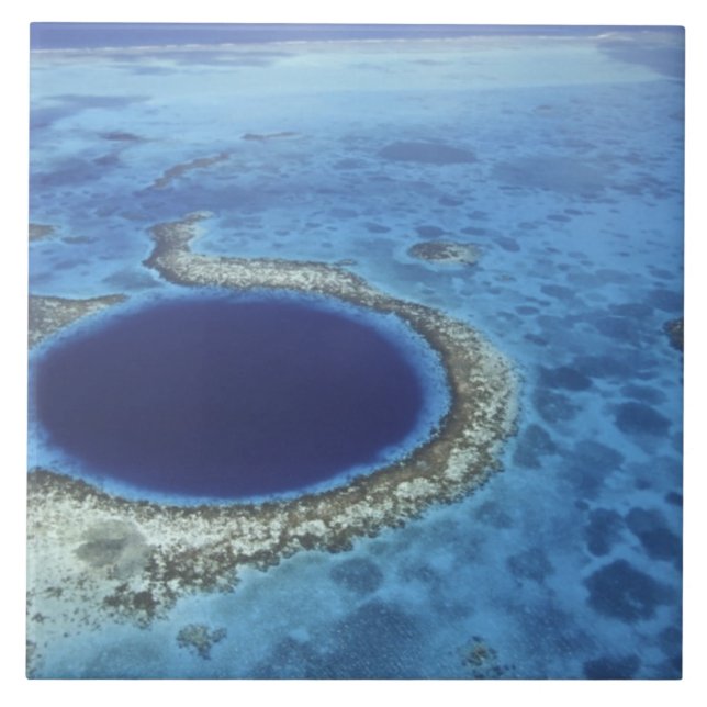 CENTRALAMERIKA, Belize, Stora korallrev av släktet Kakelplatta (Framsidan)