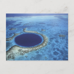CENTRALAMERIKA, Belize, Stora korallrev av släktet Vykort