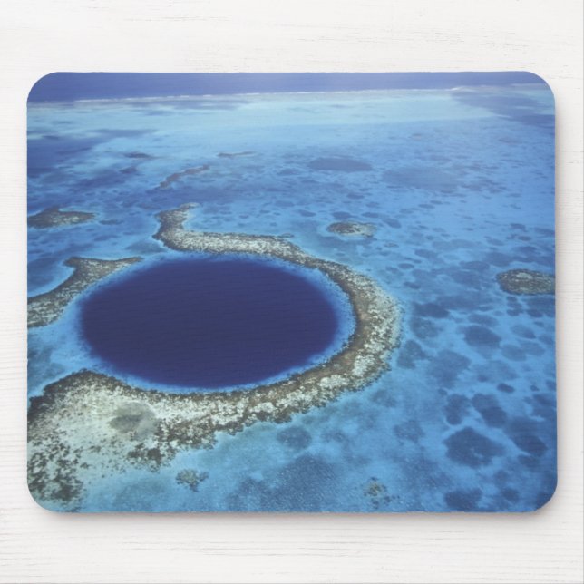 CENTRALAMERIKA, Belize, Stora korallrev utanför Musmatta (Framsidan)