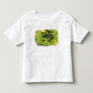 CENTRALAMERIKA, Costa Rica, Bakgrundsbelyst groda T-shirt