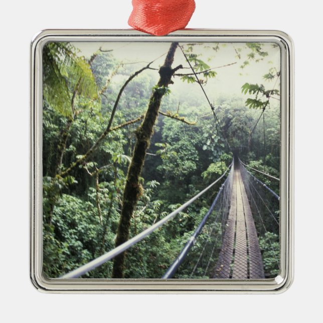 Centralamerika, Costa Rica, Monteverde Cloud Julgransprydnad Metall (Framsidan)