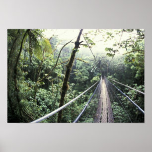 Centralamerika, Costa Rica, Monteverde Cloud Poster