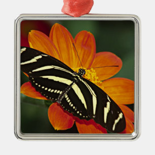 Centralamerika, Costa Rica, Selva Verde Julgransprydnad Metall