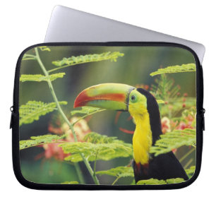 Centralamerika, Honduras. Rödnäbbad tukan Laptop Sleeve