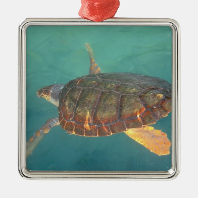 Centralamerika, Panama, Bocas Del Torro Julgransprydnad Metall (Framsidan)