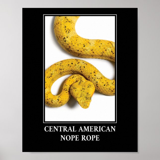 Centralamerikanska påven - Viper Snake Danger Poster (Framsidan)