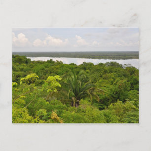 Centralamerikas regnskog i Belize Vykort