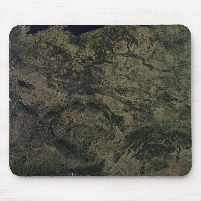 Centraleuropa Musmatta (Framsidan)