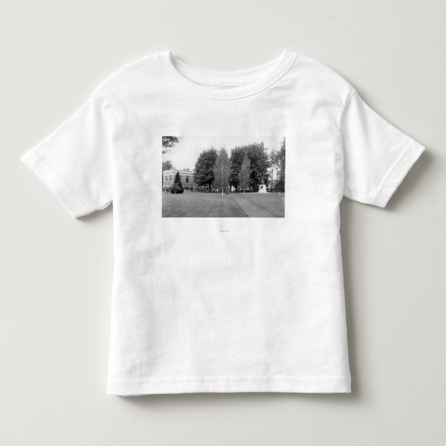 Centralia WA-Town beskådar av stad parkerar Tee (Framsida)