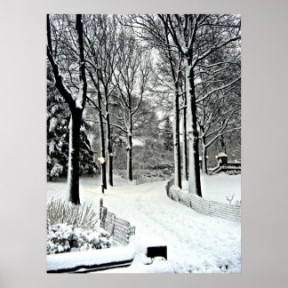 Centralpark 2010 Snö - CIMG6446 Poster