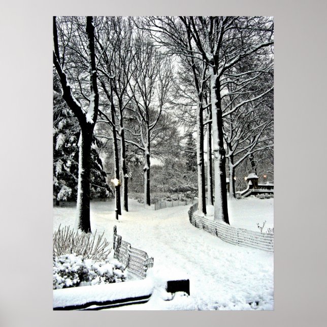 Centralpark 2010 Snö - CIMG6446 Poster (Framsidan)