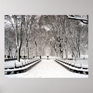 Centralpark 2010 Snö - CIMG6496 Poster