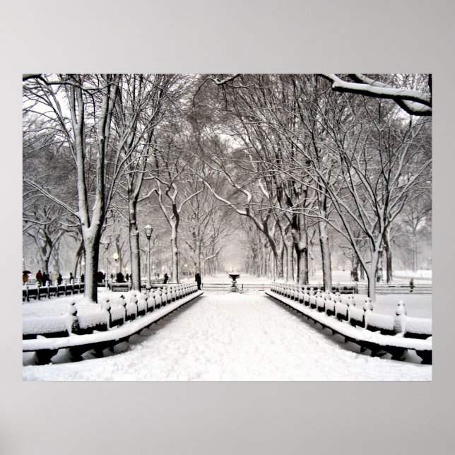 Centralpark 2010 Snö - CIMG6496 Poster (Framsidan)