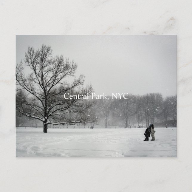 Centralpark, vykort (Framsida)