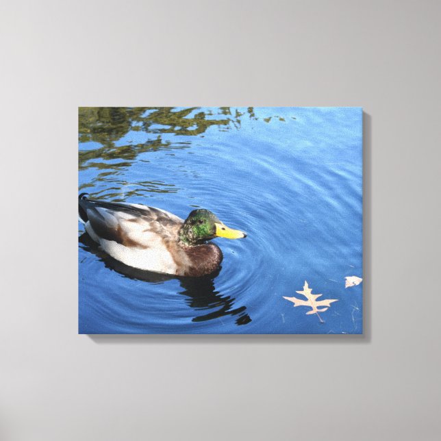 Centralparken NYC Conservatory Vatten Mallard Anka Canvastryck (Framsida)