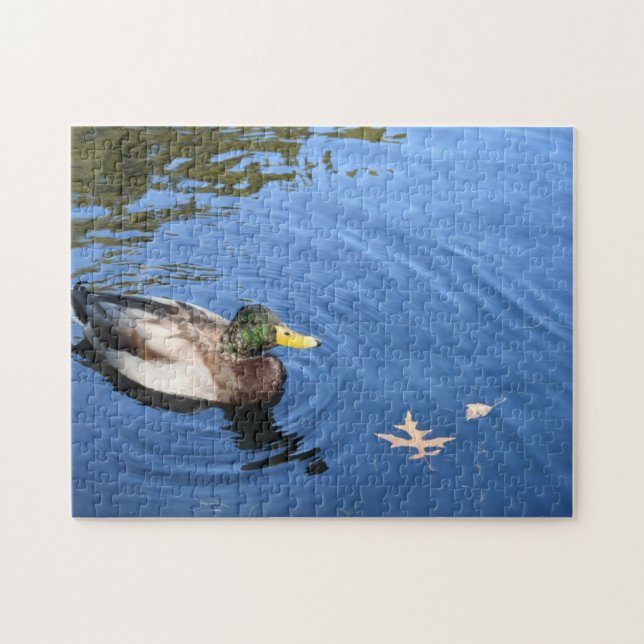 Centralparken NYC Conservatory Vatten Mallard Anka Pussel (Horisontell)