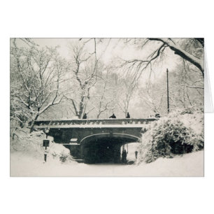 Centralparken snö hälsningskort