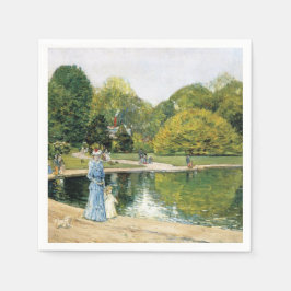 Centralparkens historiska vy (New York) Pappersservett