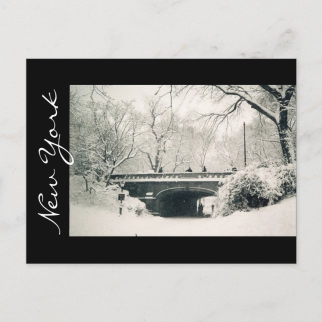 centralparkens nya verk vykort (Framsida)