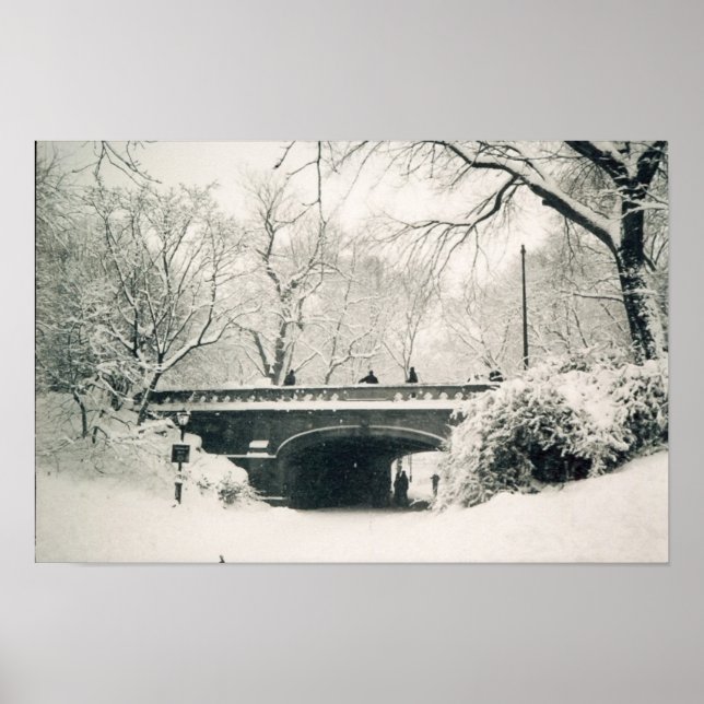 Centralparksbro Poster (Framsidan)