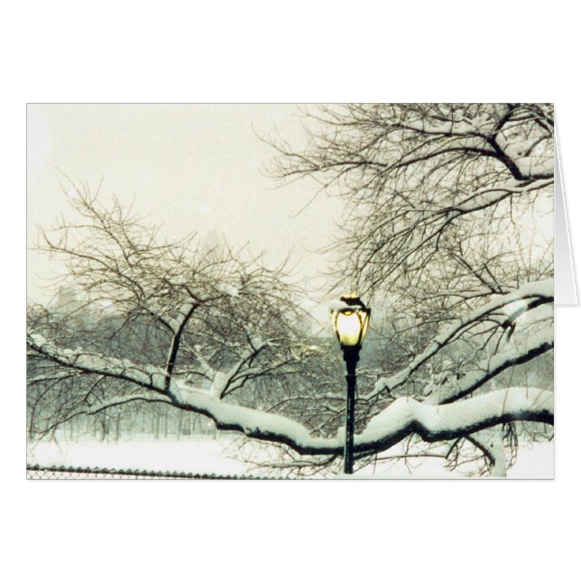 Centralparksnowy träd hälsningskort (Framsidan Horizontal)