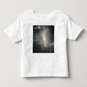 Centralregion av den gallerförsedda spiral galaxe t shirt