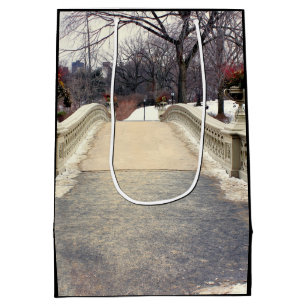 Centrals Park pilbåge överbryggar fotoet