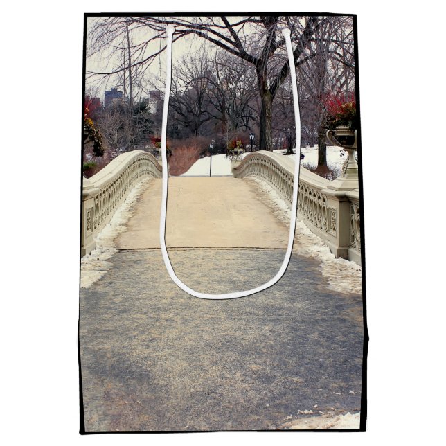 Centrals Park pilbåge överbryggar fotoet (Baksidan)