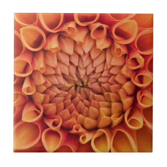 Centre Orange Dahlia Flower Kakelplatta (Framsidan)