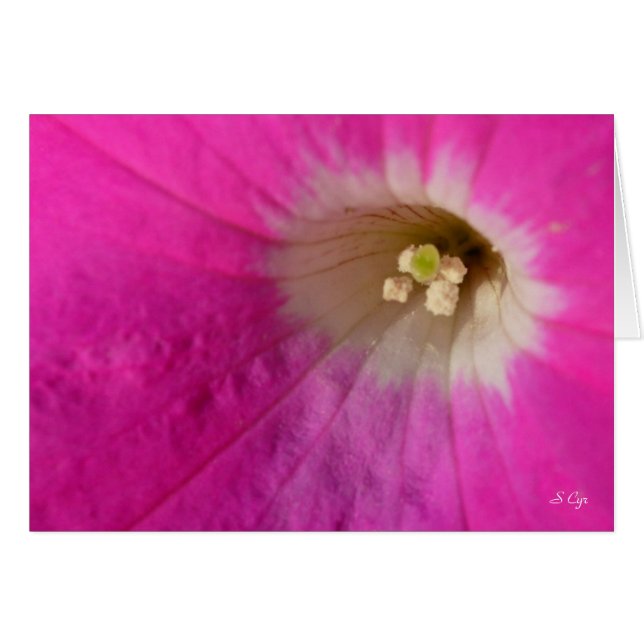 Centrera arrangerar, S Cyr Hälsningskort (Framsidan Horizontal)